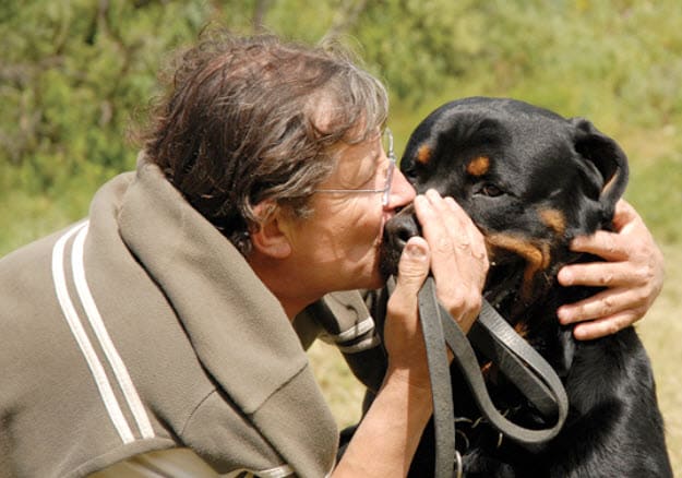 Rottweiler Dog Breed Info